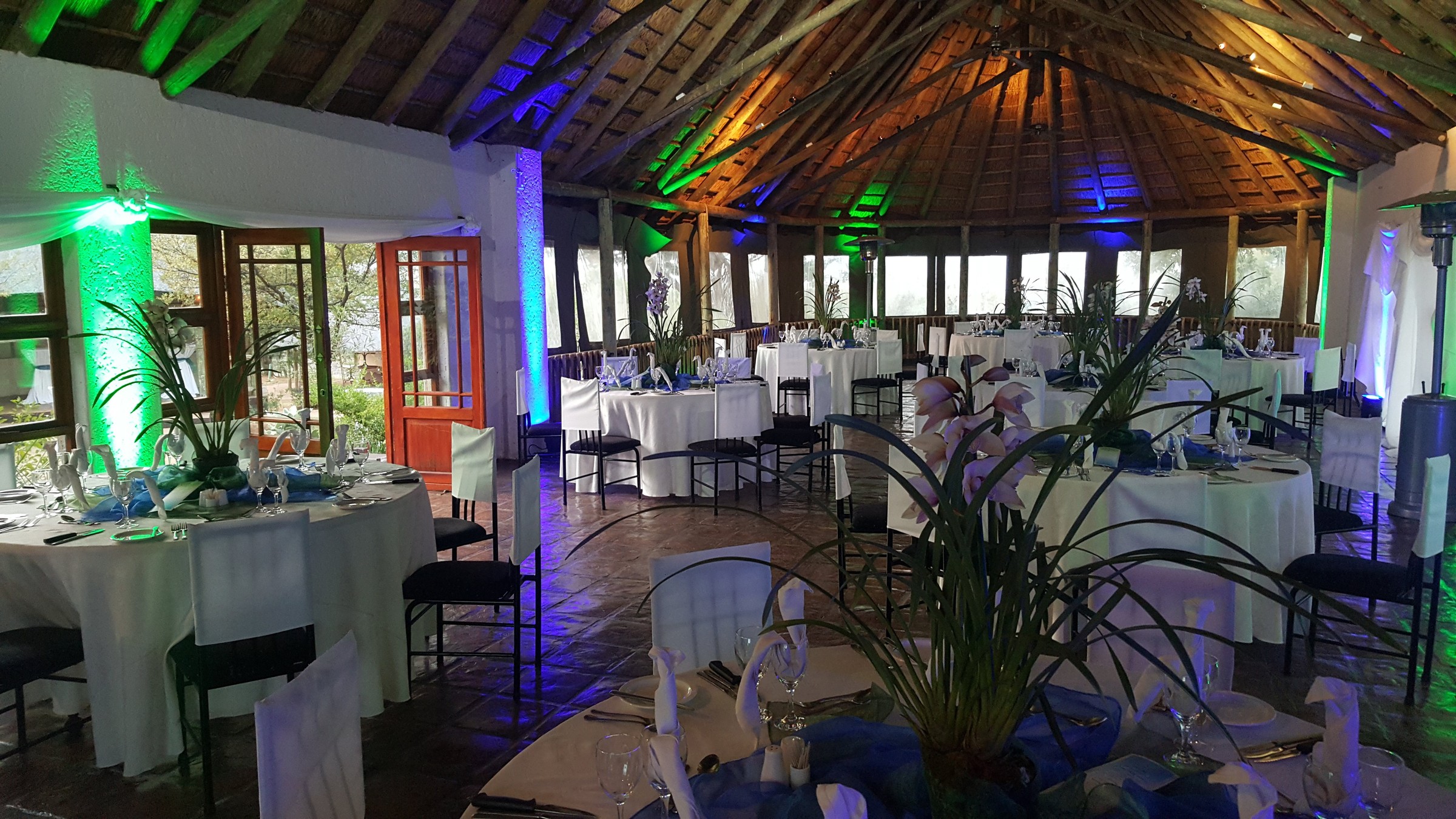Thatch boma banquet room with round tables in white linen and chair covers under green and blue uplight